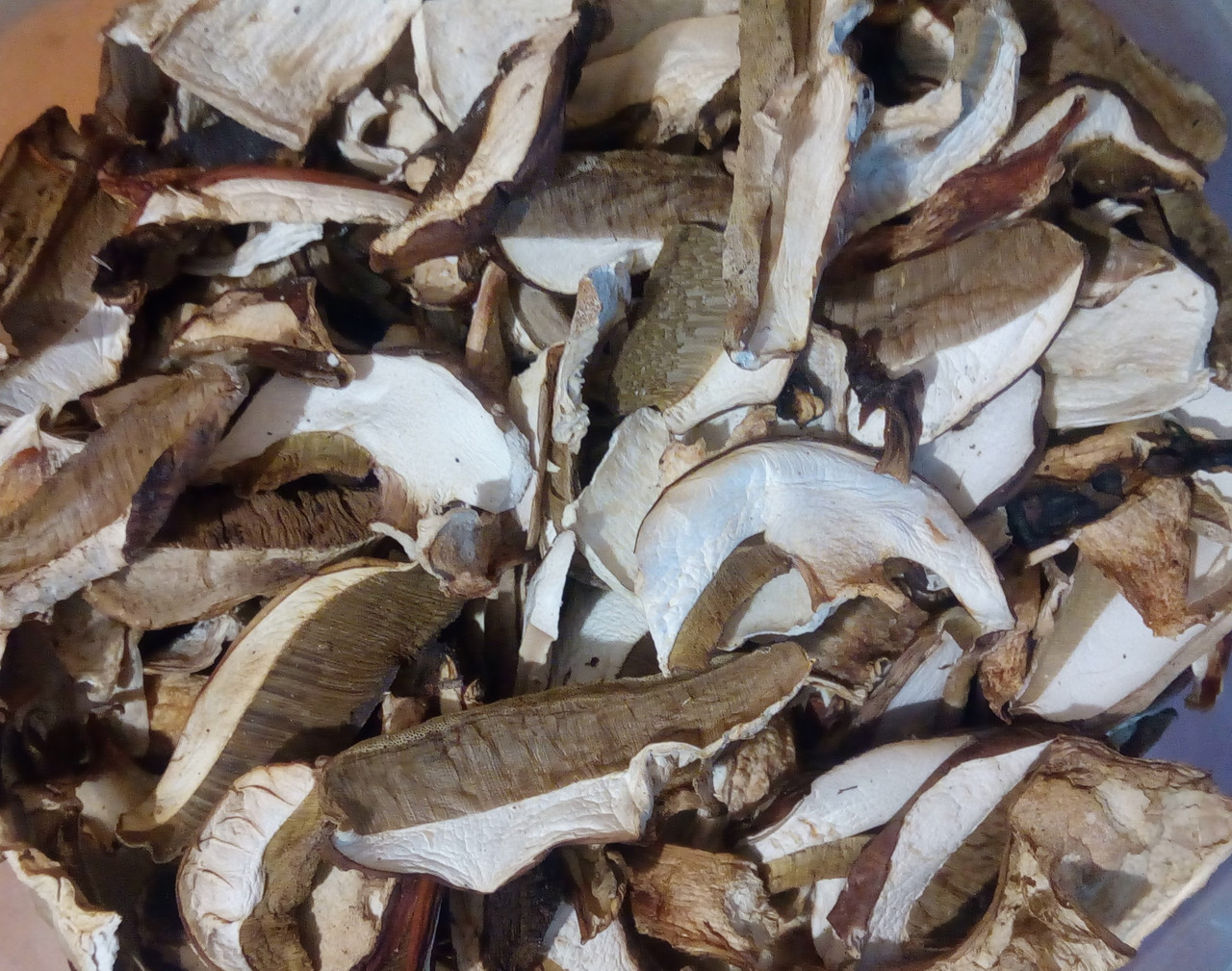 Белые грибы (сухие), 1кг.: продажа, цена в Львовской области. Грибы от ...