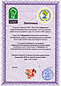 Ранець ортопедичний каркасний 551524 Чармікітті, фото 3