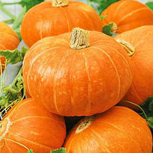 Гарбуз Цукерка 1 г., семена ТМ Яскрава