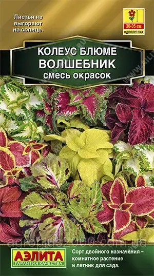 

Семена Колеус Волшебник Смесь 10 семян Аэлита, Разные цвета