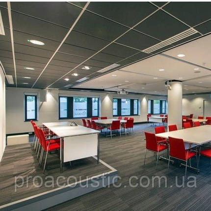 Акустична вологостійка плита Rockwool Rockfon Color All 600x600x15 мм сіра, фото 1