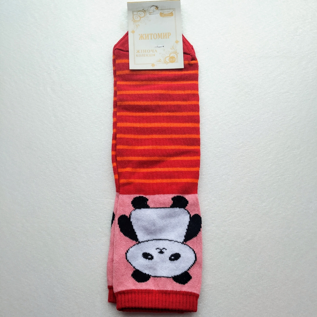 Шкарпетки жіночі Житомир 🐼 в червону смужку 35-40
