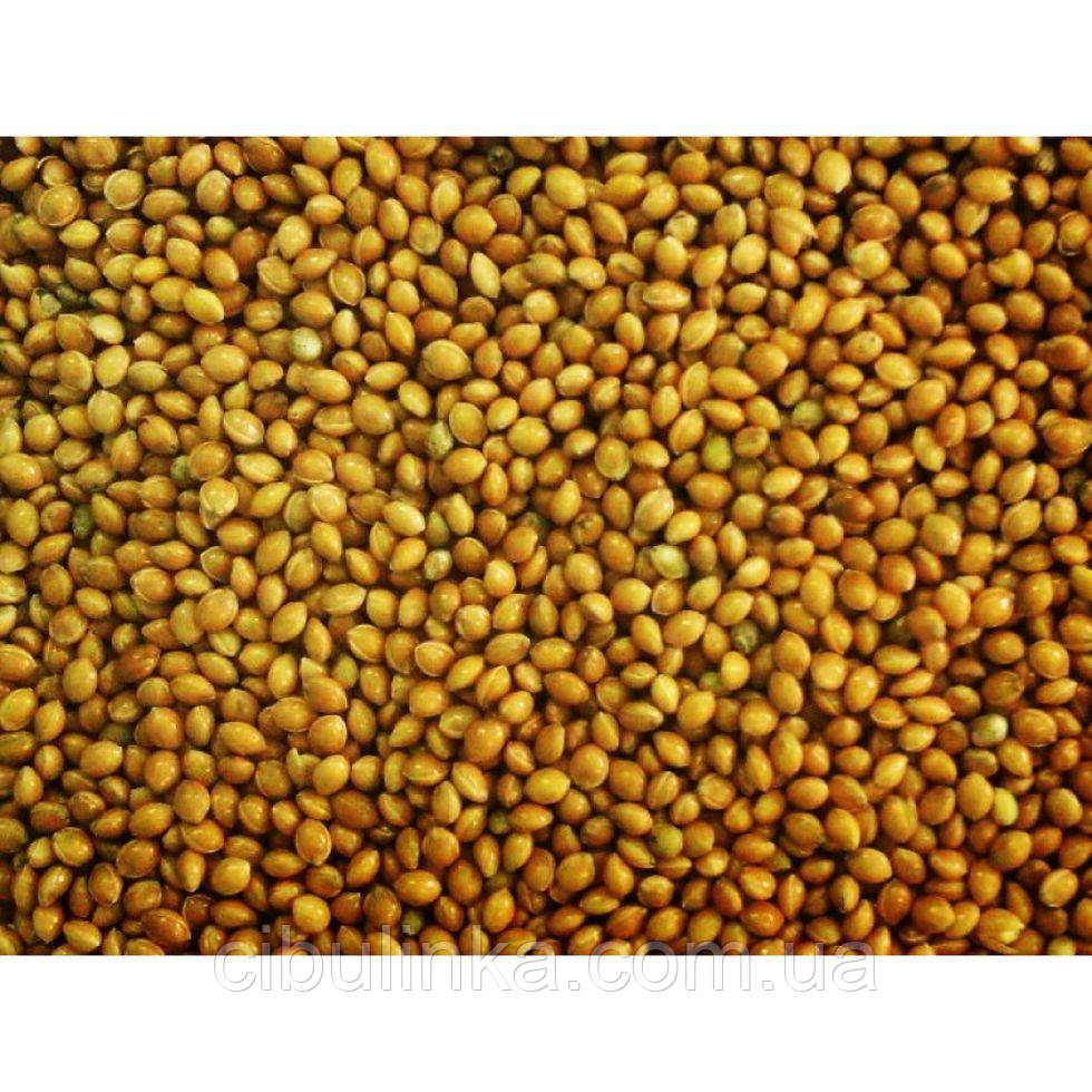 Насіння Просо жовте, 1 кг, фото 1
