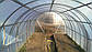 Теплиця "Комбінована 4*10" з М-профілю, фото 7