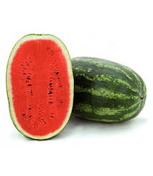 Паладин F1/Paladin F1 — Кавун, Sakata. 1000 насіння