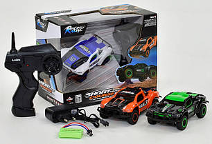 Спортивна перегонова машинка з пультом, 3 різновиди