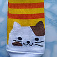 Шкарпетки жіночі котики жовта смужка розмір 36-41, фото 2
