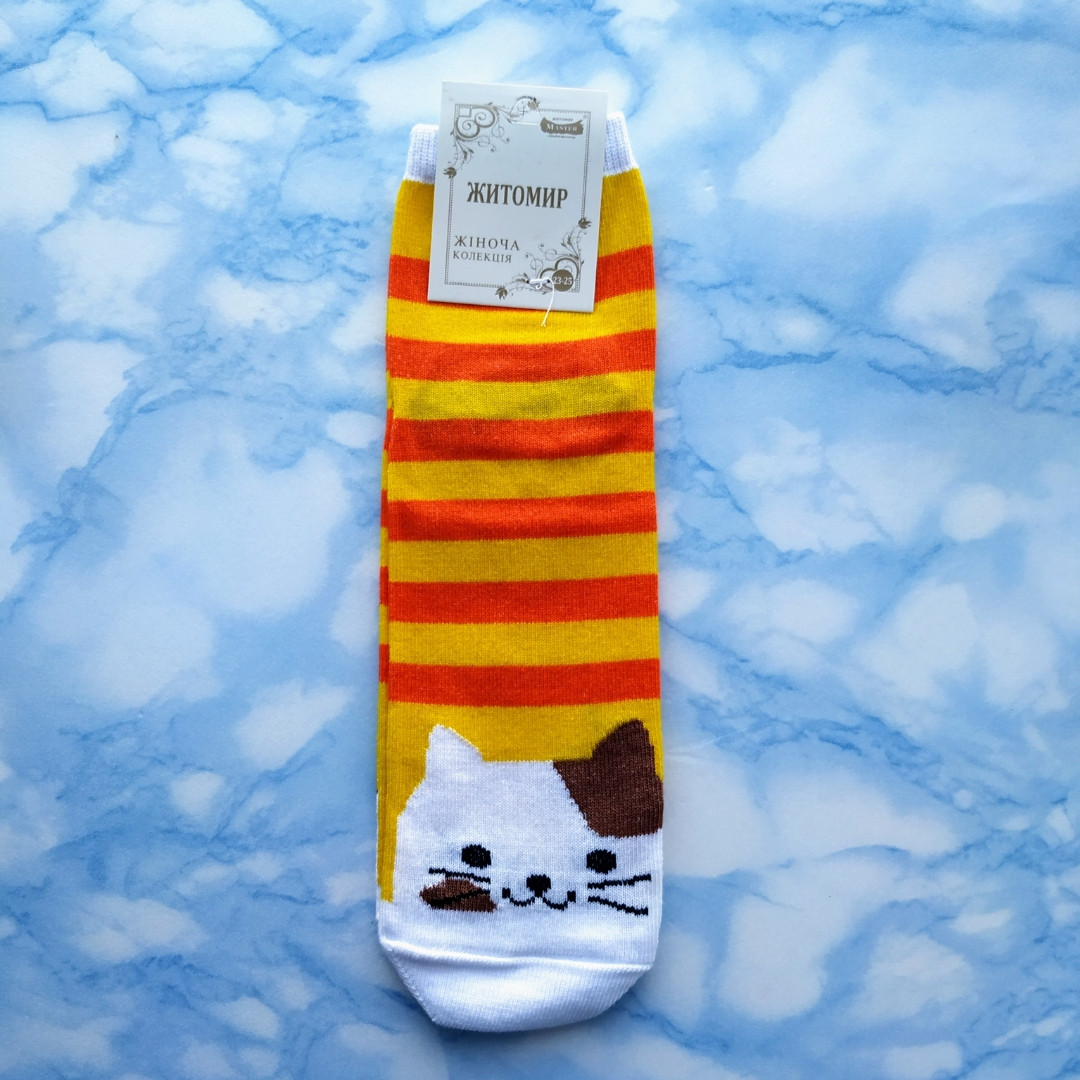 Шкарпетки жіночі котики жовта смужка розмір 36-41, фото 1