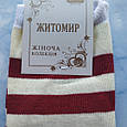 Шкарпетки жіночі котики вишнева смужка розмір 36-41, фото 5