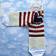 Шкарпетки жіночі котики вишнева смужка розмір 36-41, фото 2