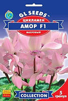 Семена Цикламен Амор F1 5 шт, GL SEEDS