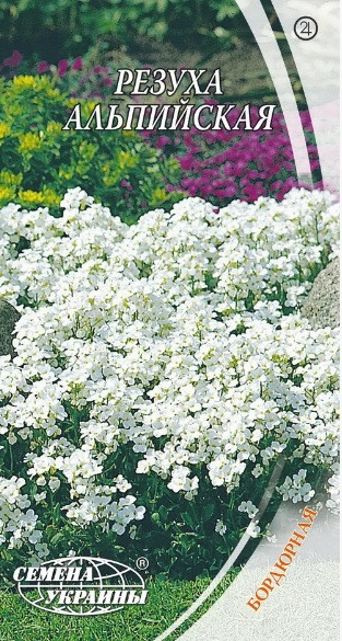 Насіння квітів Різуха (арабіс) альпійська 0,1 г, Насіння України