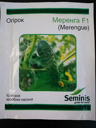 Насіння Огірок самозапильний Меренга F1, 100 насінин Seminis, фото 1