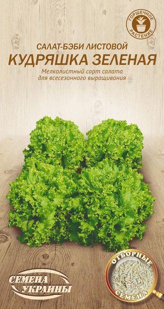 Насіння салату Кучерява зелена 1 г, Насіння України