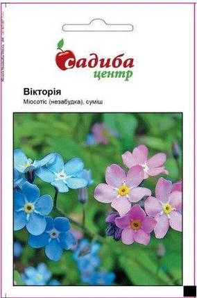 Насіння Незабудка (міосотис) Вікторія суміш, 0,2 г, Hem Zaden (Нідерланди), фото 2