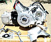 Двигун 49,9 куб Альфа/Дельта механіка оригінал, фото 6