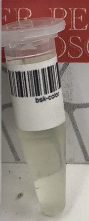 Закріплювач для фарби гладкої шкіри "BSK color", фото 1