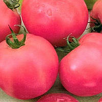 Насіння томату Загадка рожева (Молдова), 0,1 кг