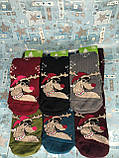 Плюшеві жіночі шкарпетки, фото 8