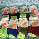 Плюшеві жіночі шкарпетки, фото 2