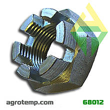 Гайка передньої маточини ЮМЗ-6 40-3103019