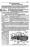 Біологія. ЗНО 2023. Довідник + Тестові завдання. (Повний повторювальний курс). Соболь В. І., фото 5