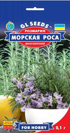 Насіння розмарину Морська роса 0,1 г, GL SEEDS, фото 2