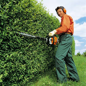 Бензинові кущорізи