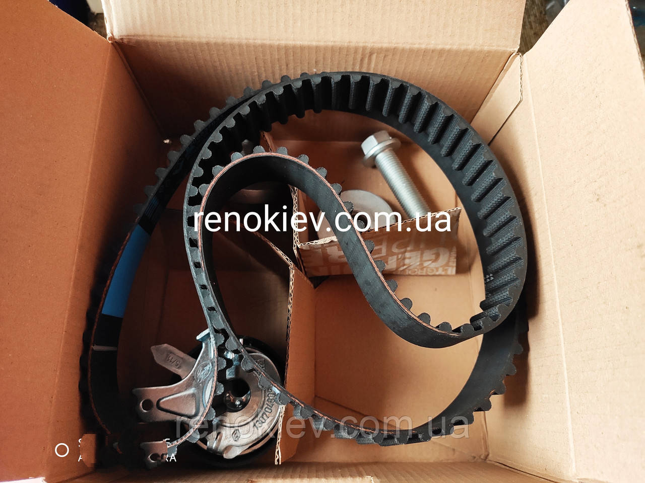 Комплект ременя ГРМ Renault Kangoo 1.5 dCi 2001- (123x27)