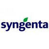Насіння соняшнику Сингенту НК Неома IMI (Syngenta), фото 3