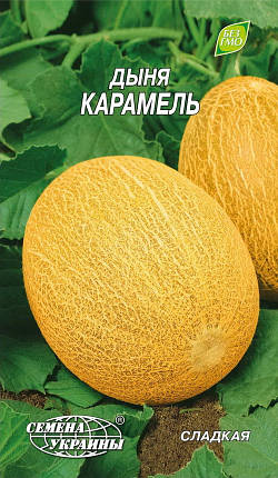 Семена дыни Карамель 2 г, Семена Украины, фото 2