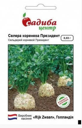 Насіння селери кореневої "Президент", 0,03 г, "Rijk Zwaan", Голланди, фото 2