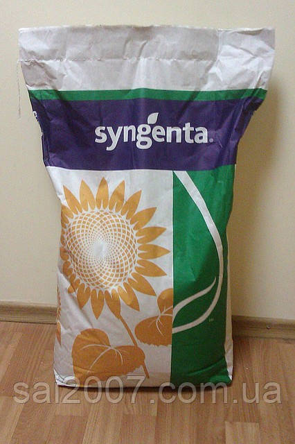 Насіння соняшнику Сингента Арена ПР (Syngenta)