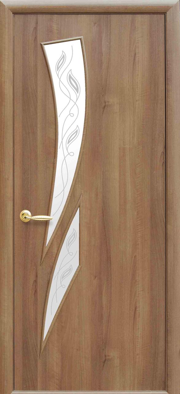 Двері міжкімнатні MS Колорадо, фото 1