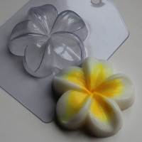 Плюмерія, фото 1