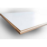 Комбіновані сходи на горище Altavilla Pino Termo Metal 4S 80*60, фото 2