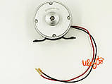 Електродвигун для медогонки, 300Вт, 12-24V, фото 4