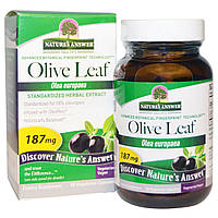 Екстракт листя оливи, Olive Leaf, nature's Answer, 187 мг, 60 кап.