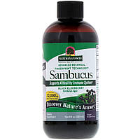 Черная бузина, Sambucus, Nature's Answer, 5000 мг, 240 мл