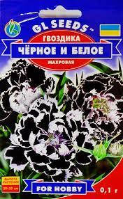 Насіння Гвоздика махрове Чорне та Біле 0,1 грама GL Seeds, фото 1