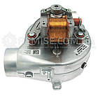 Вентилятор GR04035 Protherm 0020118666 Lynx Jaguar JTV, фото 3