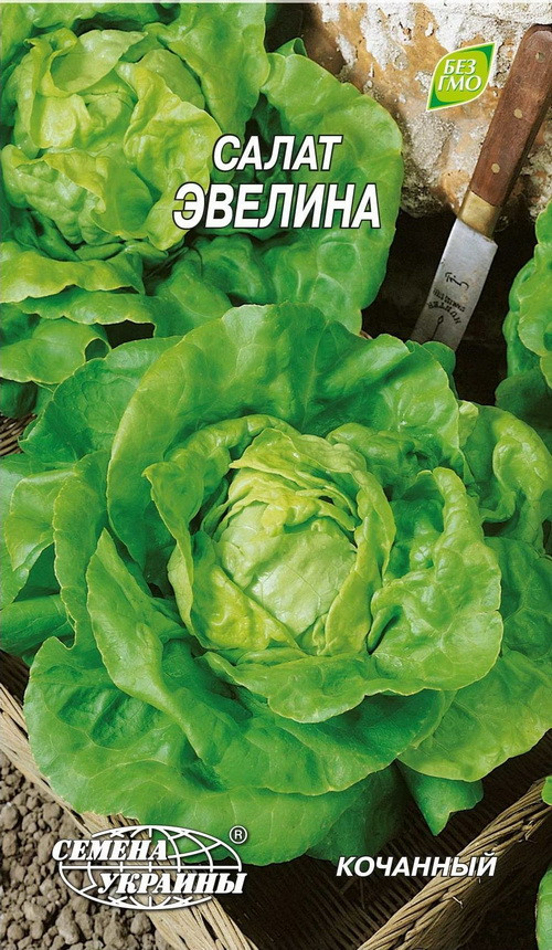 Насіння салату Евеліна 1 г, Насіння України