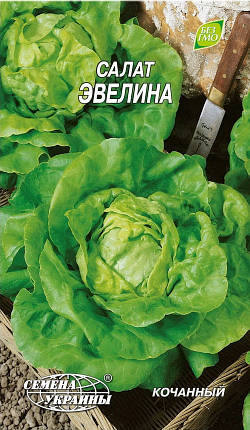 Насіння салату Евеліна 1 г, Насіння України, фото 2