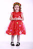 Ошатне плаття розмір 110-116 см, прокат карнавального одягу, фото 3