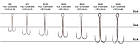 Гачок Двійник Select DH-22L #4/0 (3 шт/уп), фото 2