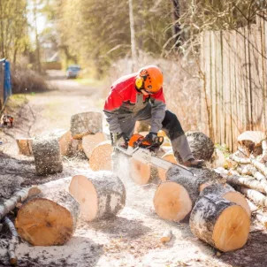 Обрізання саду, спилити дерево, звалити дерево, Київ., фото 1