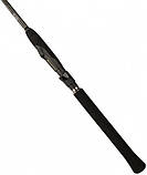 Спінінг Golden Catch Desire DSS-662ML 1.98 м 5-17г, фото 6