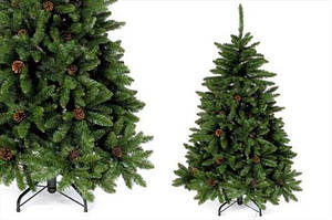 Ялина зелена з шишками 1.3 м