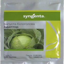Насіння капусти Адаптор F1 (Syngenta), 2500 насіння — середньо-здобень гібрид (115-120 днів), білочане., фото 1
