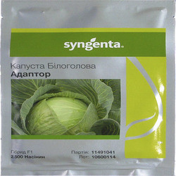 Семена капусты Адаптор F1 (Syngenta), 2500 семян средне-поздний гибрид (115-120 дней), белокочанная. - фото 1 - id-p433138159